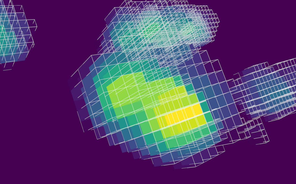 vizi user interface — 2D pane, 3D pane, LUT controls, bounding-box panel